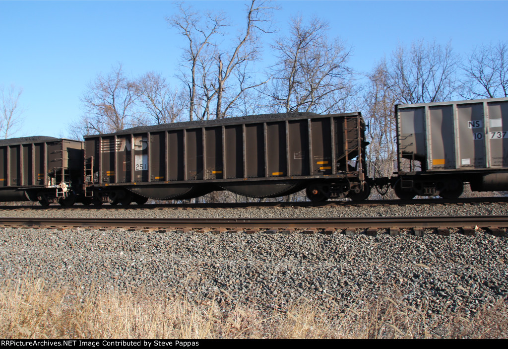 NS 10251